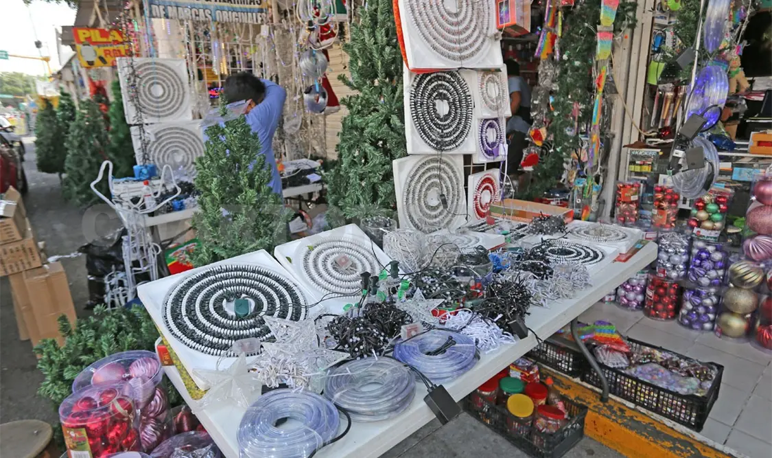 El investigador dijo que lo mejor es verificar el voltaje y el manual para el uso correcto. Diego Pérez / CP