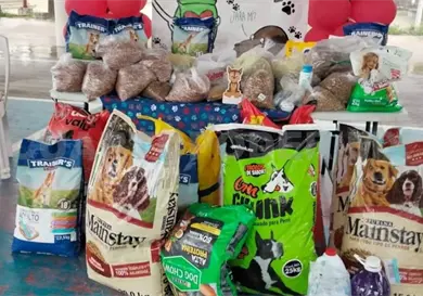 Realizan primera edición del Croquetón en la capital Realizan primera edición del Croquetón en la capital