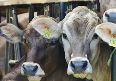 Garantizan personal para centros de acopio Garantizan personal para centros de acopio