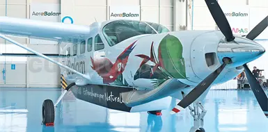 Buscan conectividad turística aérea en el sur del país Buscan conectividad turística aérea en el sur del país