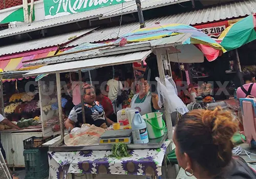 Locatarios festejan a la Virgen de Guadalupe Locatarios festejan a la Virgen de Guadalupe