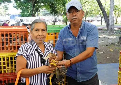 Fortalecen autosuficiencia alimentaria en Tapachula Fortalecen autosuficiencia alimentaria en Tapachula