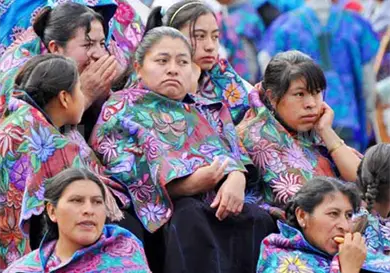 Ecosur a la vanguardia en maestría y doctorado Ecosur a la vanguardia en maestría y doctorado