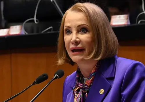 Reforma electoral no será aprobada en fast track Reforma electoral no será aprobada en fast track