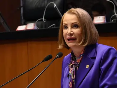 Reforma electoral no ser&aacute; aprobada en fast track