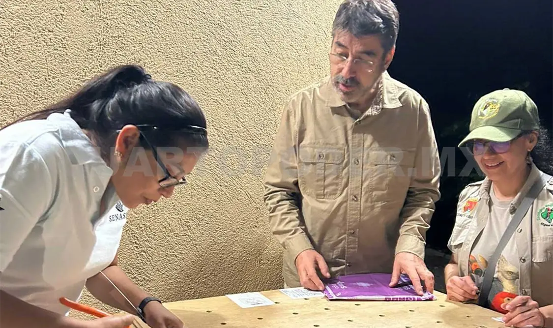 El ZooMAT informó que el arribo del ejemplar se hizo apegado a las leyes mexicanas y la normatividad internacional. Cortesía