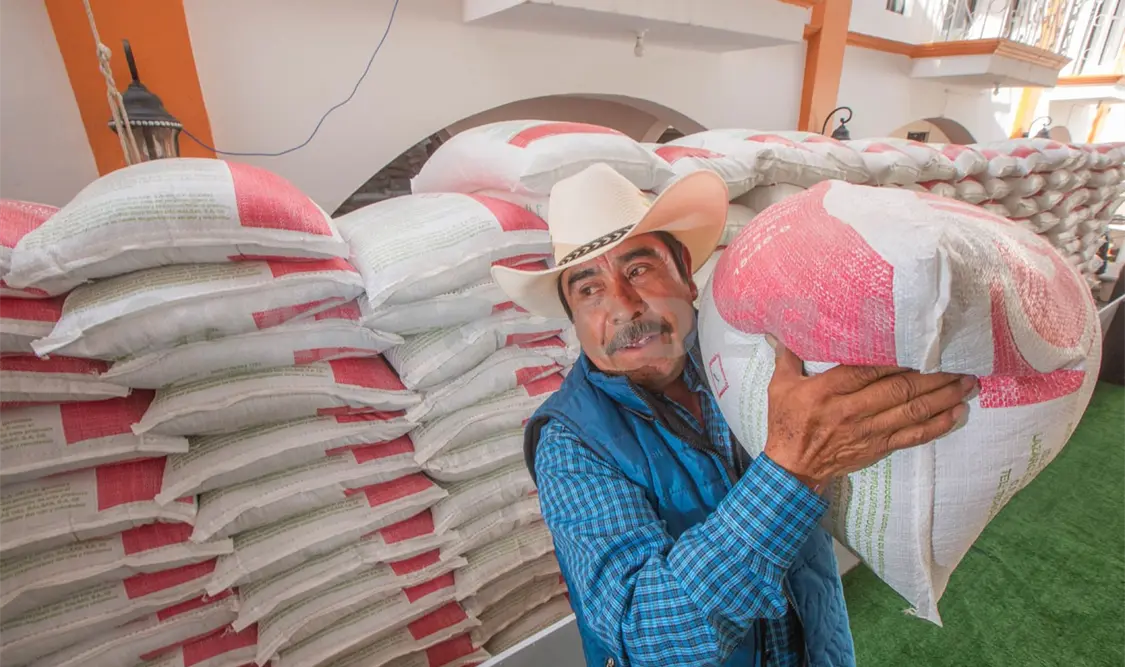 El Gobierno Federal resaltó el impacto positivo que ha representado este programa en los cultivos. Cortesía