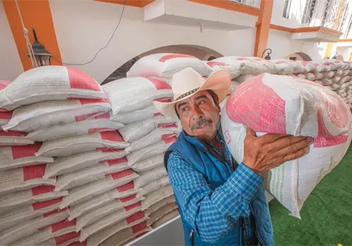 Amplían apoyo en campo chiapaneco Amplían apoyo en campo chiapaneco