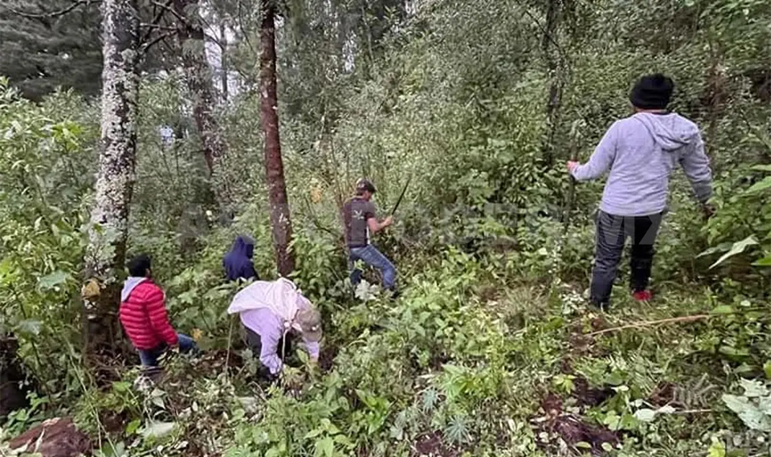 El saqueo de especies puede tener graves consecuencias para el ecosistema del volcán. Ramón García / CP