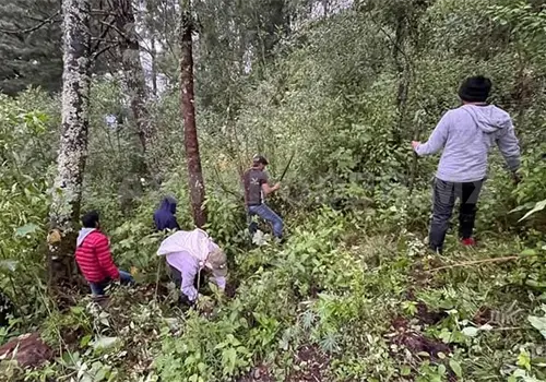 Vigilan el volc&aacute;n Tacan&aacute; por saqueos