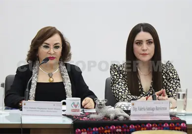 Reducci&oacute;n de incendios, un resultado hist&oacute;rico