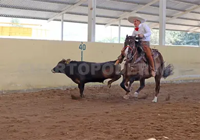 Hierro Santo conquista el estatal Hierro Santo conquista el estatal