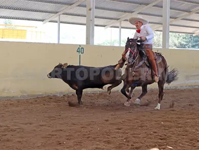 Hierro Santo conquista el estatal Hierro Santo conquista el estatal