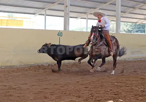 Hierro Santo conquista el estatal Hierro Santo conquista el estatal