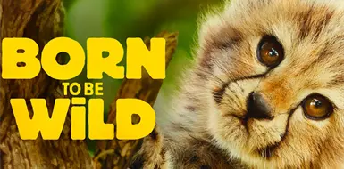 H&eacute;roes an&oacute;nimos dejan ver su lucha