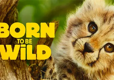 H&eacute;roes an&oacute;nimos dejan ver su lucha