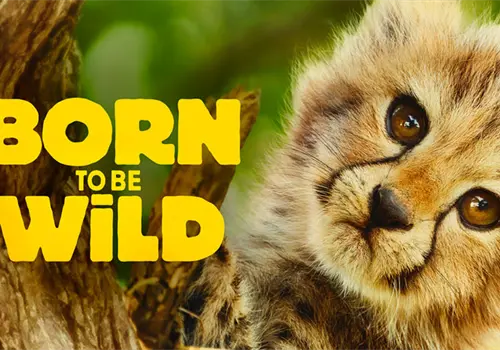 H&eacute;roes an&oacute;nimos dejan ver su lucha