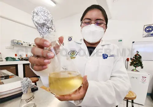 Beneficia a estudiantes vinculaci&oacute;n con egresados