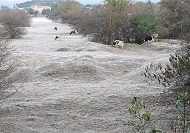 Se cubrieron de hielo en SCLC Se cubrieron de hielo en SCLC