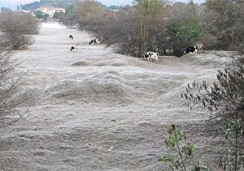 Se cubrieron de hielo en SCLC