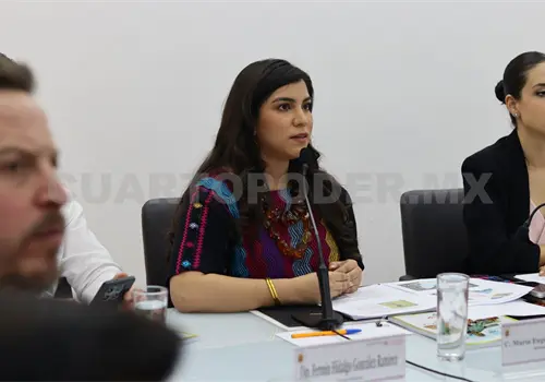 El turismo debe avanzar a la innovaci&oacute;n: secretaria