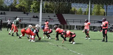 Búhos de San Cristóbal conquista tazón Búhos de San Cristóbal conquista tazón