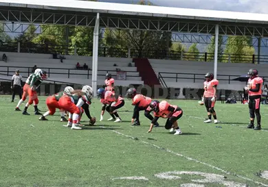 B&uacute;hos de San Crist&oacute;bal conquista taz&oacute;n