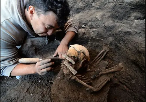 Sin dinero para investigar f&oacute;siles