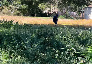 Lo encuentran muerto entre matorrales Lo encuentran muerto entre matorrales