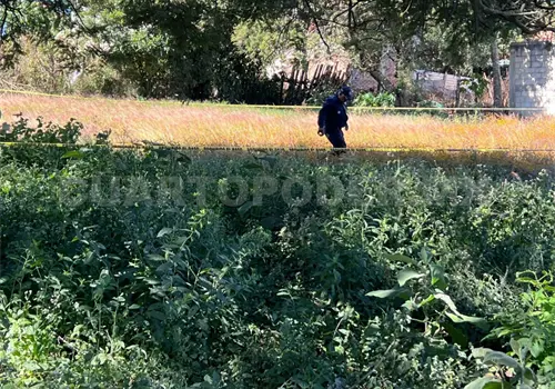 Lo encuentran muerto entre matorrales