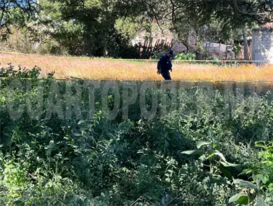 Lo encuentran muerto entre matorrales de lote