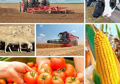 M&eacute;xico se mantiene entre los mayores exportadores