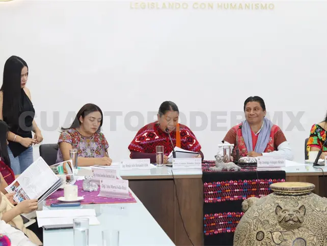 Un año de acción por los pueblos originarios Un año de acción por los pueblos originarios