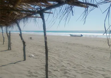 Reconstruyen palapas en Puerto Arista Reconstruyen palapas en Puerto Arista