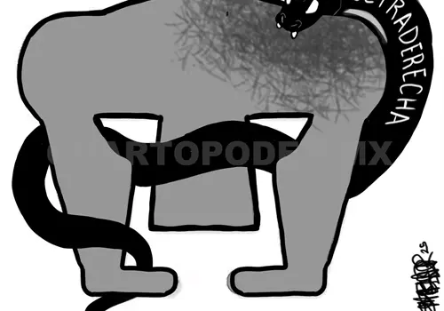 Revoluci&oacute;n y universidad