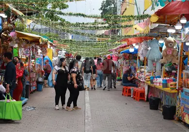 Iluminan el centro con feria &iexcl;Que Viva la Navidad!