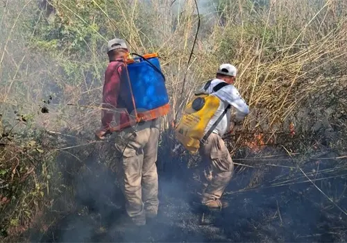 Reportan incendio por quema de basura Reportan incendio por quema de basura