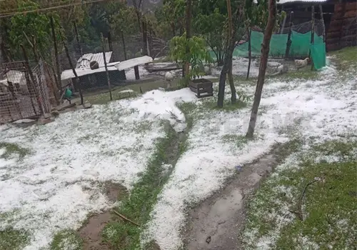 Granizada inusual en La Candelaria Granizada inusual en La Candelaria