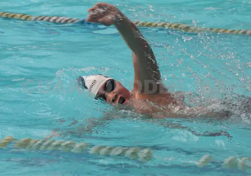 Delfines consiguen tres podios virtuales