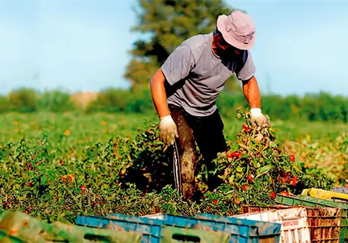 M&eacute;xico en el programa de agricultura sostenible