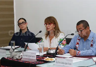 Frontera Sur estrat&eacute;gica para el desarrollo