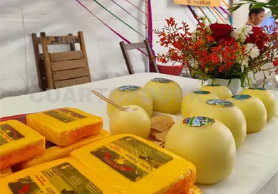 Recibe protecci&oacute;n como Indicaci&oacute;n Geogr&aacute;fica