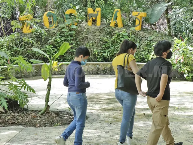 Entrada gratuita al ZooMAT en lo que resta del a&ntilde;o