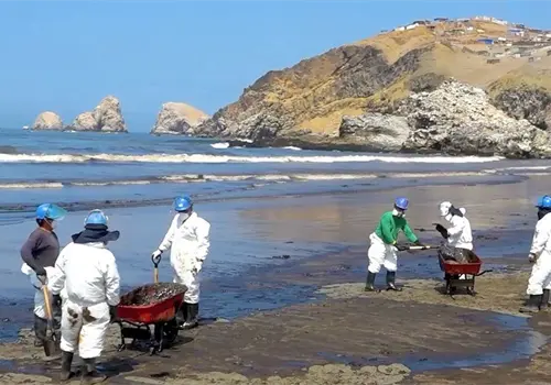 Denuncian da&ntilde;os en el Golfo de M&eacute;xico