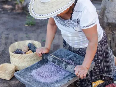 Impulsan turismo comunitario en zonas rezagadas 