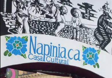 Invitan a leer la revista Napiniaca