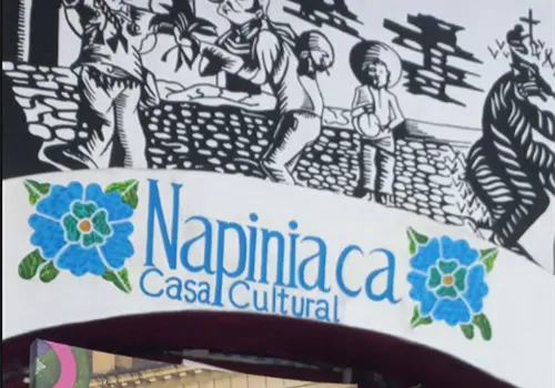 Invitan a leer la revista Napiniaca