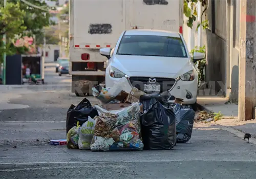 Realizar&aacute;n campa&ntilde;a de acopio de &aacute;rboles navide&ntilde;os