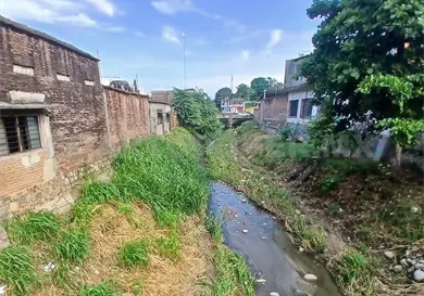 Piden rescatar 300 plantas para tratar aguas negras