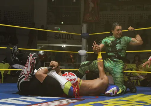 Cabellera de por medio o la máscara en juego Cabellera de por medio o la máscara en juego